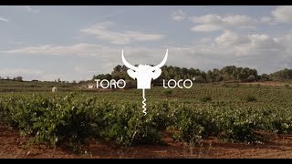 Meet Toro Loco® the great wine from Utiel Requena Spain [upl. by Asserat]