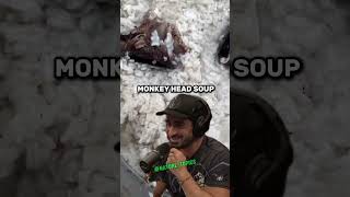 Drinking Monkey Head Soup with Locals  Paul Rosolie amp Joe Rogan on Cultural Traditions jre [upl. by Barkley753]