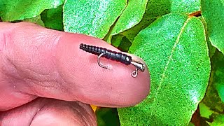 Crappie Fishing From The Bank With A Microscopic Jig [upl. by Ynabla396]