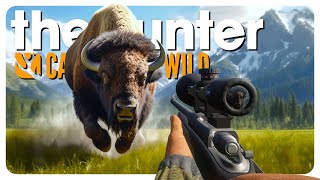 The BIGGEST BISON I have EVER seen  theHunter Call of the Wild [upl. by Aihtibat]