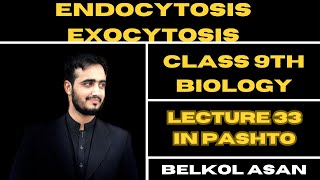 Endocytosis and Exocytosis Explained By Basharat Ali  Class 9th Biology [upl. by Flan]