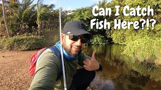 Exploring amp Fishing The Lagoons Along The Longest Beach In The Caribbean  Mayaro Trinidad amp Tobago [upl. by Jorrie467]