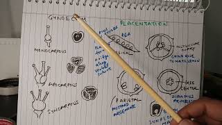 Structure of Flower flower biology [upl. by Sucramraj]