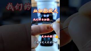 Blud test in microscopefruit microscope shortsfeed shortsvideo short chinesfood123 [upl. by Onra]