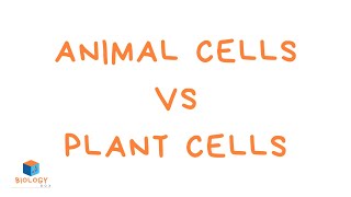 Animal Cells vs Plant Cells KS3 animal and plant cells [upl. by Rise]