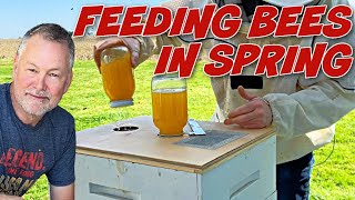 Beekeeping How to Feed Bees In The Spring [upl. by Ainav]