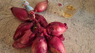 CIPOLLE ROSSE di TROPEA in padella  Ricetta economica facile e veloce  Red ONION RECIPE 🧅 [upl. by Rudolfo437]