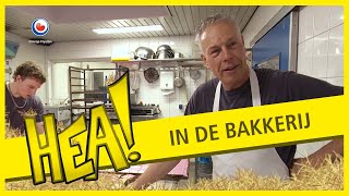 Bakken in de bakkerij  HEA [upl. by Gideon31]