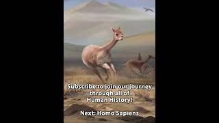 World History Chapter 2 Part 1 The Ice Age  PREHISTORY [upl. by Borden]