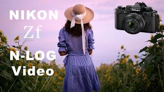 Nikon ZF NLOG Cinematic Video  Memories of Summer in Japan Sunflower Field [upl. by Elliott652]