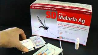 Malaria Antigen Rapid Test [upl. by Fogarty]