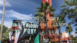 Falcons Fury  offride  HD  Busch Gardens Tampa  October 2016 [upl. by Tnecillim]