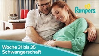 Schwangerschaftswoche 31 bis 35  Vorbereitungen zur Geburt  Pampers [upl. by Madra304]