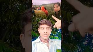 Raj kar Sona ho Mahaul Badale Wala Ba  new bhojpuri song 2024 bhojpuri trending trendingsong [upl. by Adnylem479]