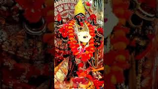 Shyama ma ki amar kalo re shyama 🙏ytshort shortfeed shyamasangeet kumarsanu photography [upl. by Atnima755]