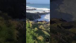 Fistral Headland Views 🌊  Newquay’s Coastal Gem 2 by GJM Studios UK Shorts [upl. by Yecnay]