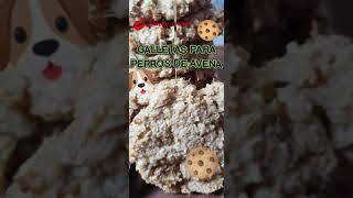 GALLETAS NATURALES DE AVENA PARA PERROS Facilísimas [upl. by Gerik262]