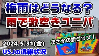 【USJ梅雨はどうなる⁉︎】貸切ナイト実施なのに雨でめちゃ空きに‼︎アトラクションの待ち時間まとめ♪新作グッズ大量入荷♪2024年5月31日金曜日、ユニバーサルスタジオジャパンの混雑状況 [upl. by Roeser]