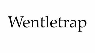 How to Pronounce Wentletrap [upl. by Glasgo]