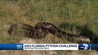 Registration begins for 2024 Florida Python Challenge in the Everglades [upl. by Pearline]