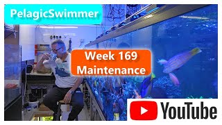 Week 169 Maintenance [upl. by Rotce]