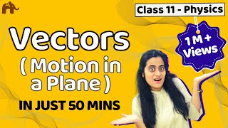 Vectors Class 11  Motion in a plane  Physics NEET JEE CBSE [upl. by Viquelia]