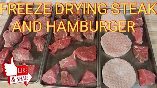 FREEZE DRYING STEAK🥩 harvestrightfreezedryer beef steak freezedryer pantrygoals [upl. by Etnad]