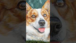 Knox 🤍🕊️ memorial painting petportrait petportraitartist art artcommission dogpainting [upl. by Oicam]