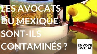 Envoyé spécial Les avocats mexicains sontils contaminés  21 sept 2017 France 2 [upl. by Langer833]