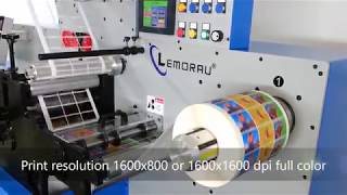 Lemorau DIGIEBR Digital printing coating and finishing machine [upl. by Rheingold715]