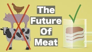 The Future of Meat [upl. by Eppilihp]