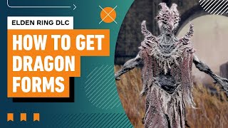 How to Unlock Dragon Forms in Elden Ring DLC – Ultimate Guide [upl. by Sansbury]