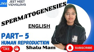 SPERMATOGENESIS PART 5HUMAN REPRODUCTION SHALU NEET TRICKS LINE BY LINE ZOOLOGY CBSE ENGLISH [upl. by Benoite931]