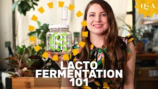 Fermentation 101 Guide to Lacto Fermenting Foods [upl. by Uolymme]