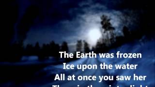 Winter Light  Tim Finn Lyric Video [upl. by Nawk]