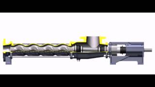 Seepex Progressive Cavity Pumps  Chicken Legs [upl. by Apoor961]