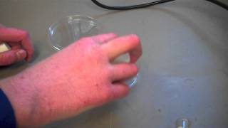 Testing for Coliform Bacteria in Streams [upl. by Yhotmit724]