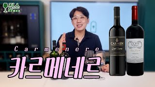 포도품종 카르메네르 Carmenere 한식과 어울리는 환상적인 와인 l 가성비 와인 추천 l 칠레 와인 l 레드와인 [upl. by Marijo311]