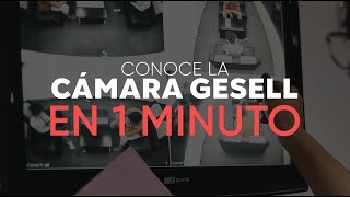 🛋️📹CÁMARA GESELL EN SOLO 1 MINUTO ⏱ [upl. by Tybi449]