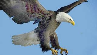 Raise you up on Eagles Wings featuring Maureen McGovern Christian Worship [upl. by Mccallion]