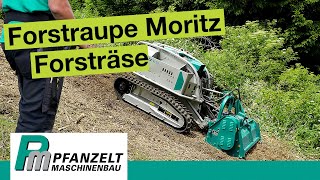 Forstmulcher im Hang Was kann die Moritz Fr50 Raupe als Böschungsmäher [upl. by Llenoj153]