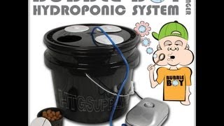 Hydroponics Made Simple  BubbleBoy DWC System for Beginners  Easy Garden [upl. by Kacey49]