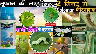 Solomon insecticideBayer Solomon insecticideBetaCyfluthrin  ImidaclopridSolomoninsecticidekheti [upl. by Bunker]