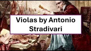 The Violas of Antonio Stradivari [upl. by Eerehs393]