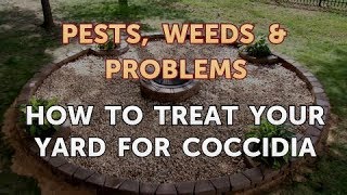 How to Treat Your Yard for Coccidia [upl. by Gale]