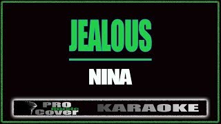 Jealous  NINA KARAOKE [upl. by Gaige]