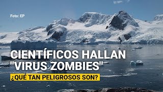 Científicos hallan quotvirus zombiesquot en permafrost de Siberia ¿Qué tan peligrosos son [upl. by Tse]