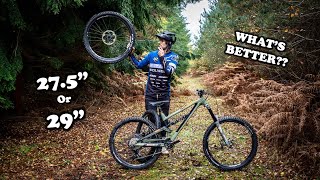 Hardtail Vs Full Suspension Mountain Bike [upl. by Cinelli]