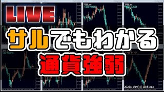 【FXライブ配信】主要8通貨インデックス [upl. by Narayan496]