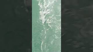 Arab Ocean  Oman  masirah Island youtube foryou trendingshorts trending youtubeshorts oman [upl. by Paddie522]